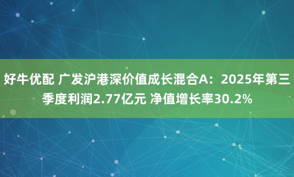 好牛优配 广发沪港深价值成长混合A：2025年第三季度利润2.77亿元 净值增长率30.2%