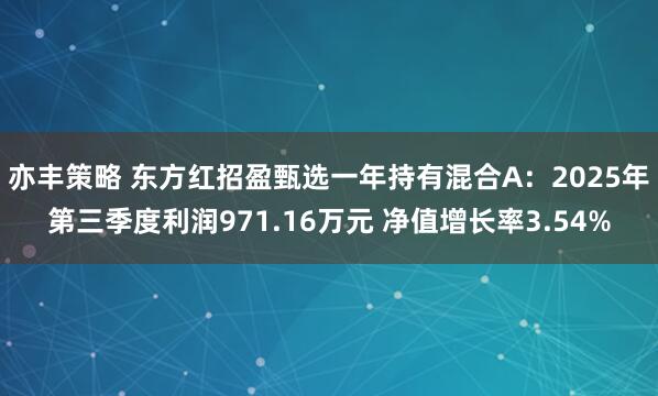 亦丰策略 东方红招盈甄选一年持有混合A：2025年第三季度利润971.16万元 净值增长率3.54%