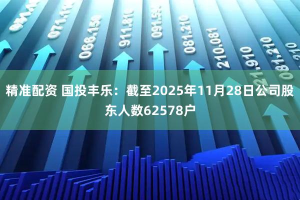 精准配资 国投丰乐：截至2025年11月28日公司股东人数62578户