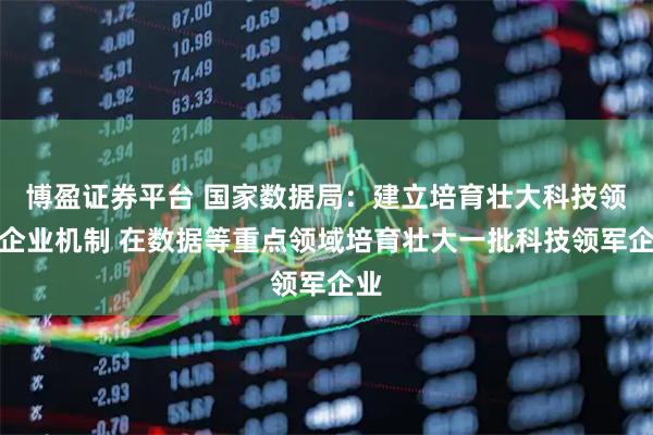 博盈证券平台 国家数据局：建立培育壮大科技领军企业机制 在数据等重点领域培育壮大一批科技领军企业